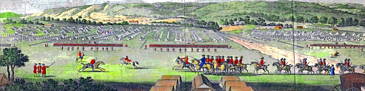 Cocks Heath - header