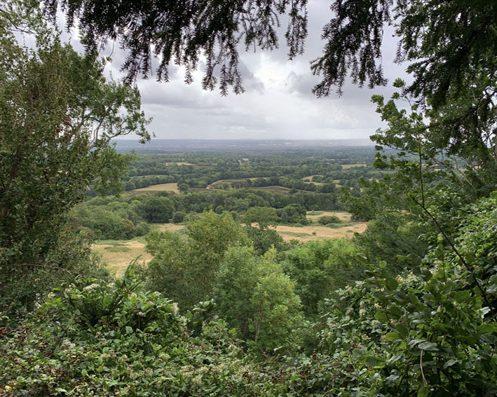 Weald
